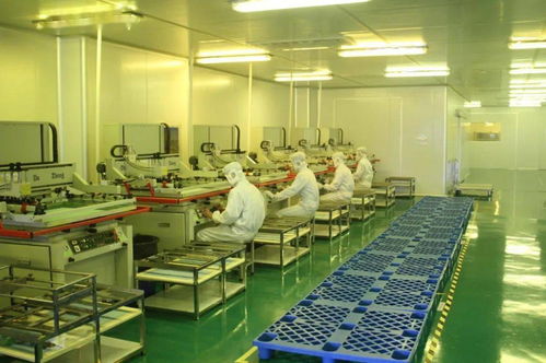 中共湛江市委十一屆十次全會工作報告要點 深化人力資源服務，規(guī)范職業(yè)中介活動，賦能高質量發(fā)展